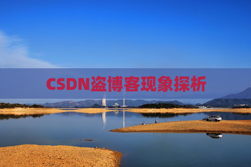 CSDN盗博客现象探析